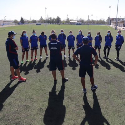 The Universal Collective Fundamentals