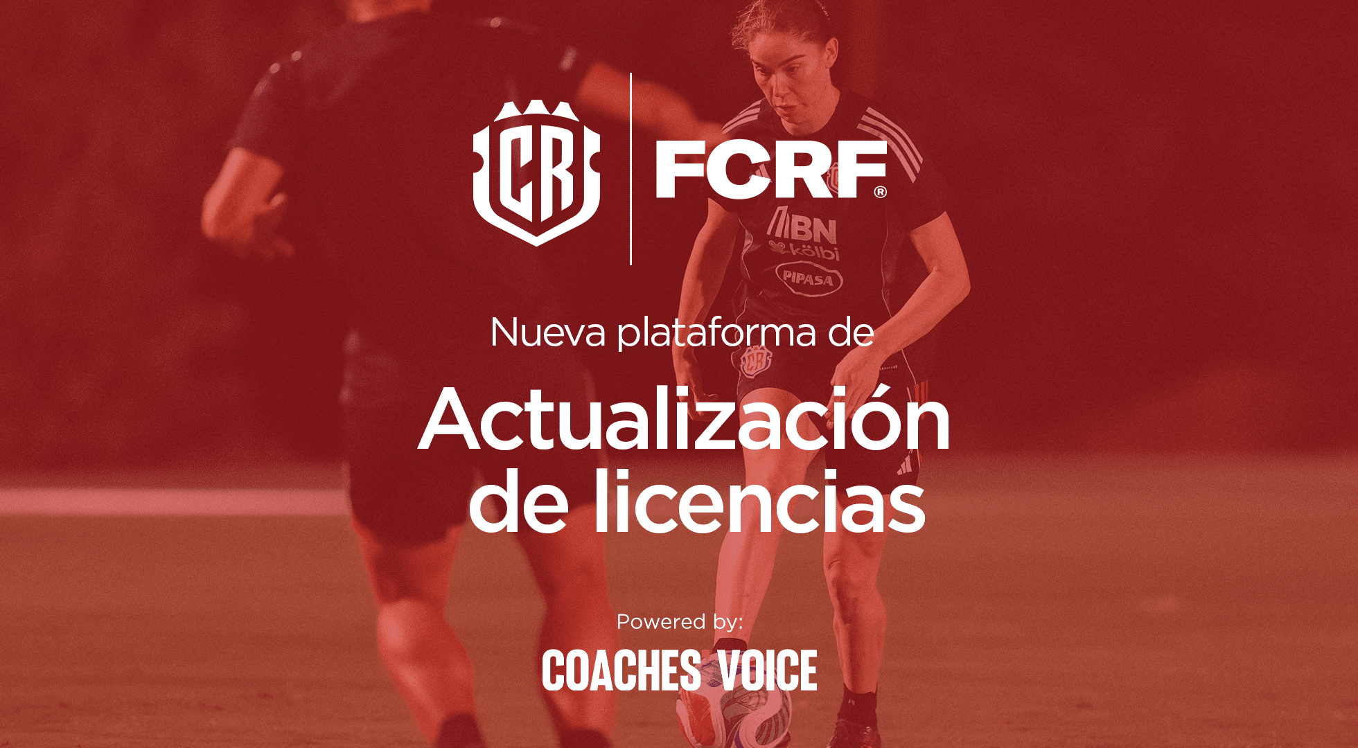 En este momento estás viendo FCRF lanza plataforma oficial de actualización de licencias